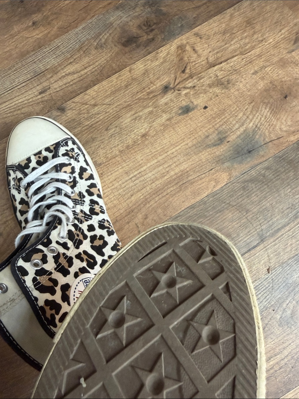 Converse Leopard Print High-Top Sneakers - Black, Tan, Cream - Picture 7 of 7